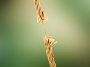 the_end_of_the_tether