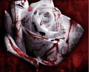 sonnet_for_a_wounded_rose