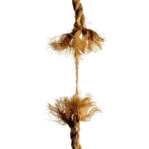 dangling_on_a_single_thread