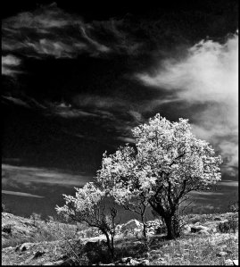 the_beauty_of_darkness