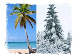 from_toaster_to_the_freezer