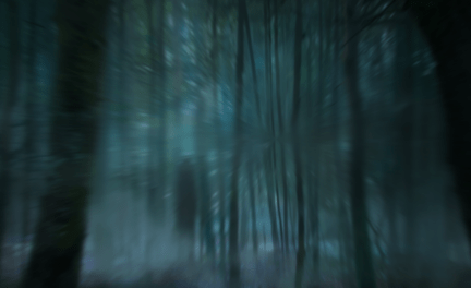 Creepy Forest