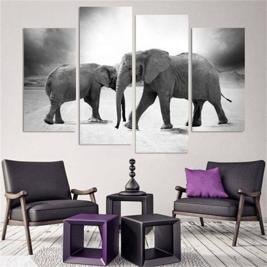 71675051_2921842424512575_3198635649125056512_n